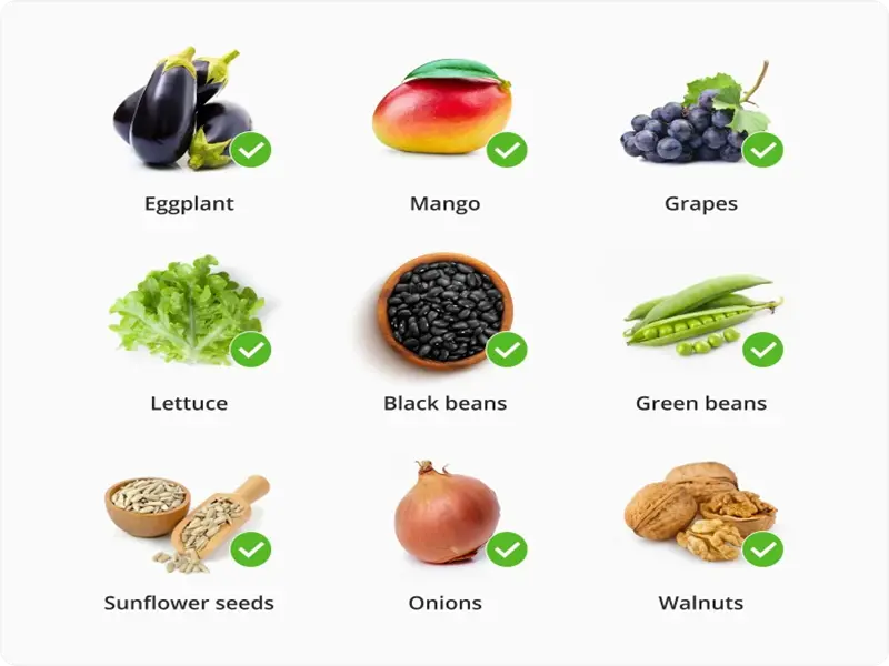 DASH Diet Food List