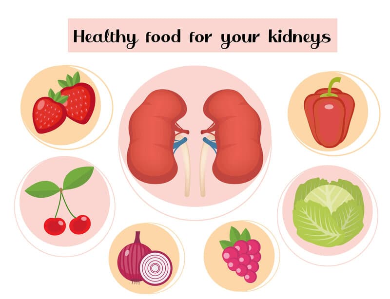 Optimizing Your Diet for Kidney Disease Management