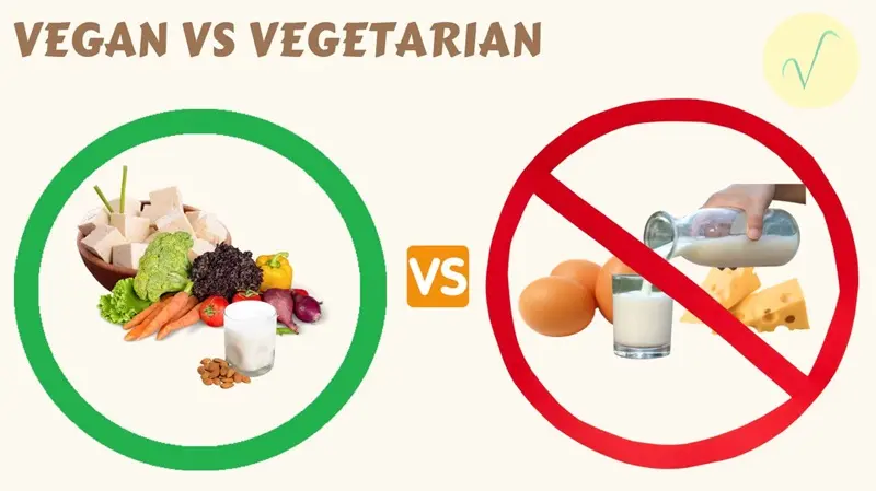 Vegetarian vs. Vegan