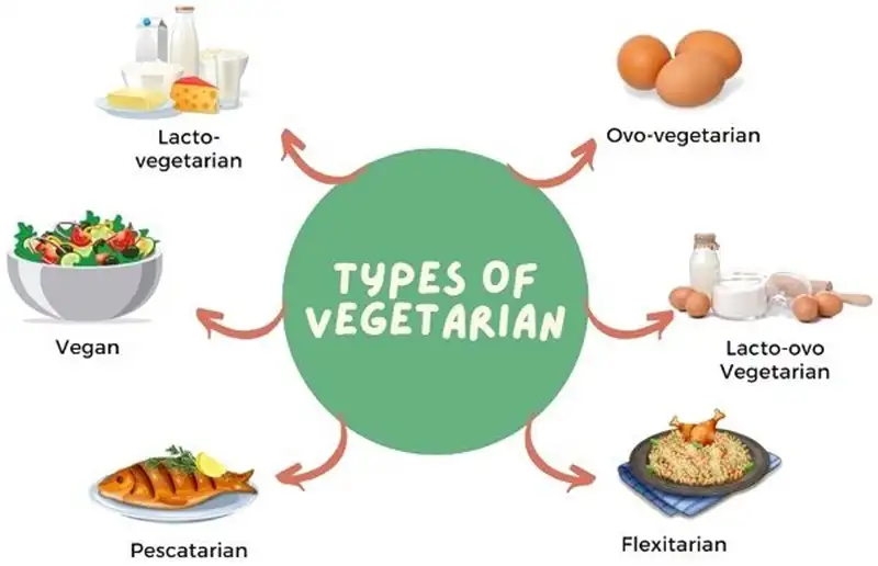 Differentiating Between Vegetarian Diets