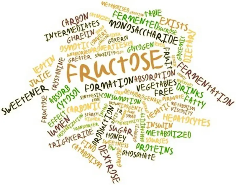 What is Fructose Malabsorption